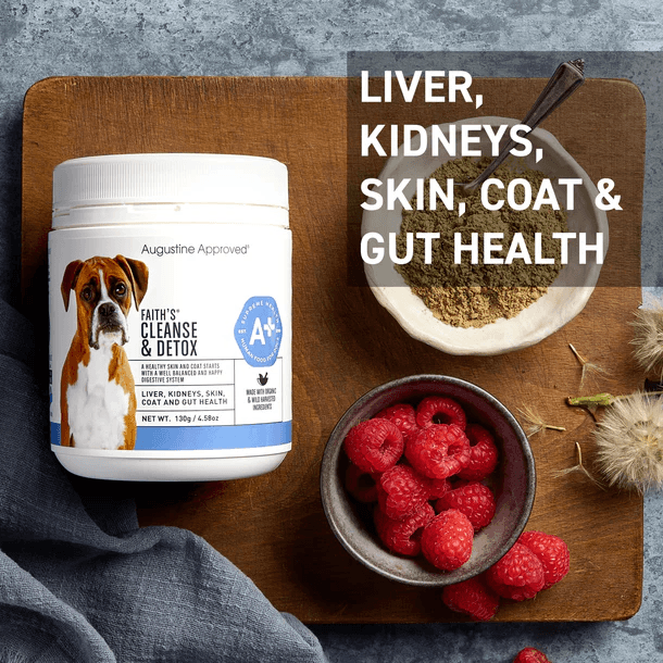 AUGUSTINE APPROVED Faith's Cleanse & Detox For Dogs and Cats - Sparklet
