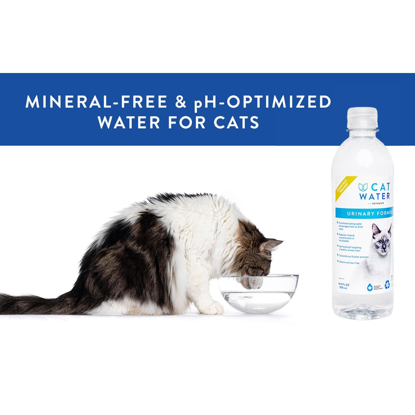 CATWATER pH Balanced Urinary Formula By Vetwater For Cats 4L – Sparklet