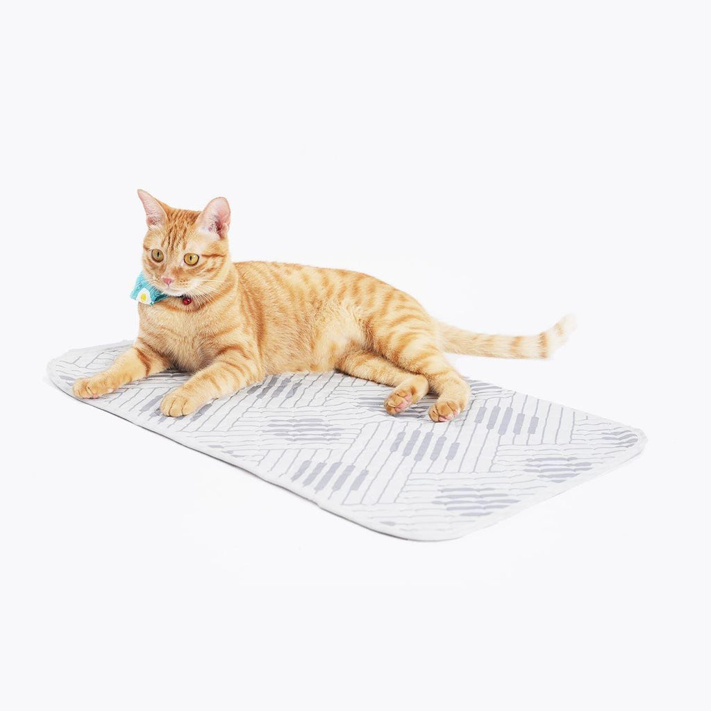 IBIYAYA EcoPaws Reusable Pet Underpad for Multiple Strollers - Nordic Fusion - Sparklet