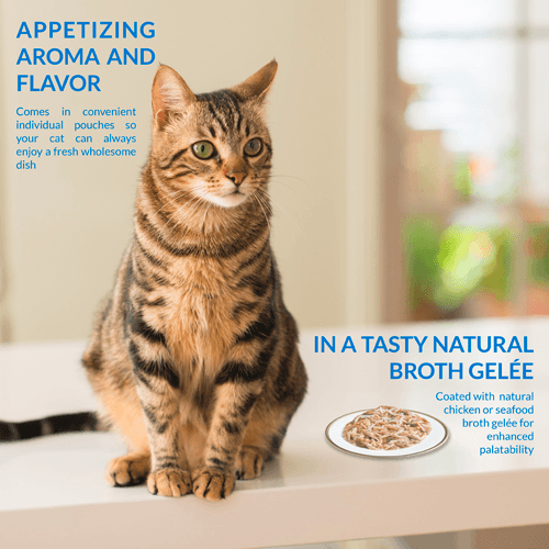 INABA Cat Twin Packs Tuna & Chicken in Tuna Broth - Sparklet