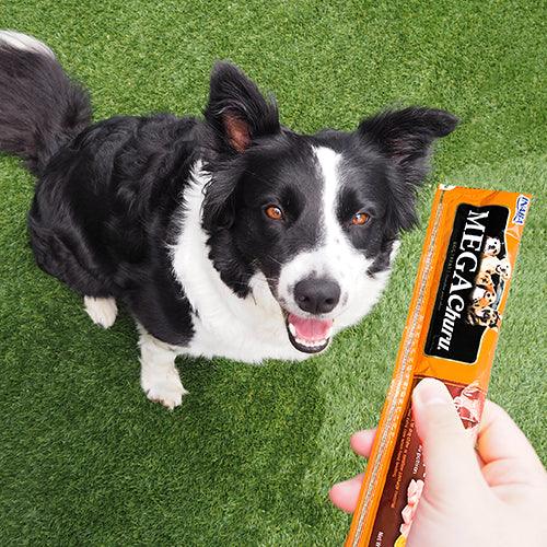 INABA Dog Mega Churu Chicken with Pumpkin 144G x 6 Packs - Sparklet