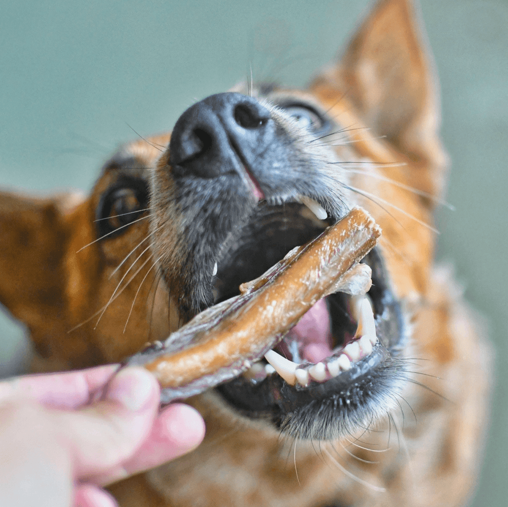 LULU'S KITCHEN Dog Treats Bite Me! - Bully Bites 100G - Sparklet