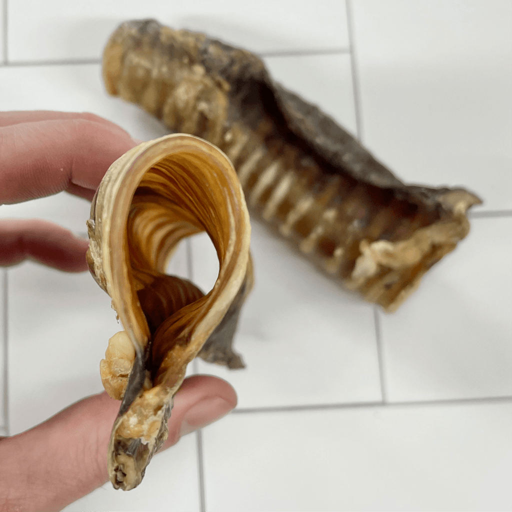 LULU'S KITCHEN Dog Treats Deep Throat - Cow Trachea 2pc - Sparklet