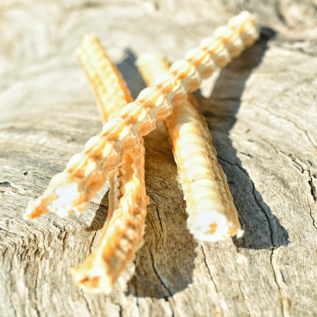 LULU'S KITCHEN Dog Treats Don't Go Swimmin - Shark Cartilage 100G - Sparklet