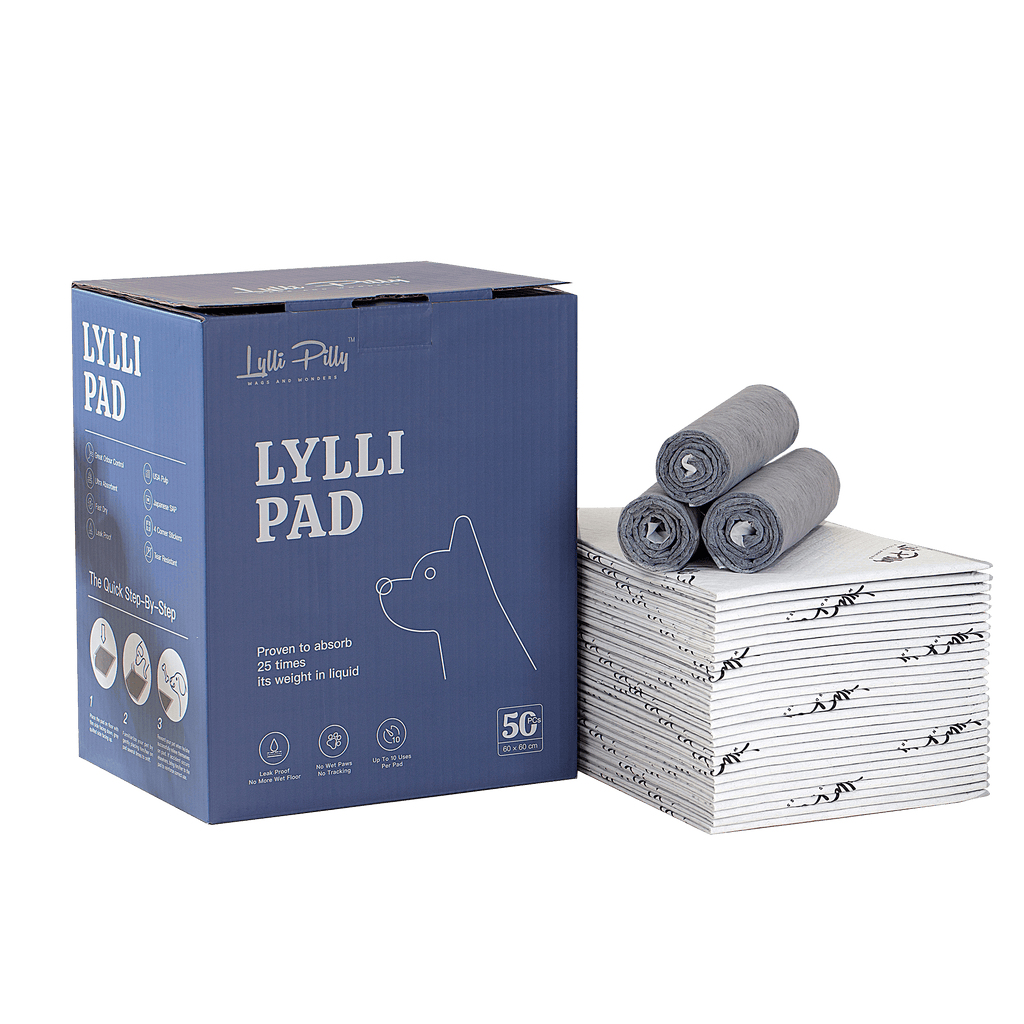 LYLLI PILLY Lylli Pad Charcoal Leak Proof Ultra Absorbent Premium Training Pads 60*60cm - Sparklet