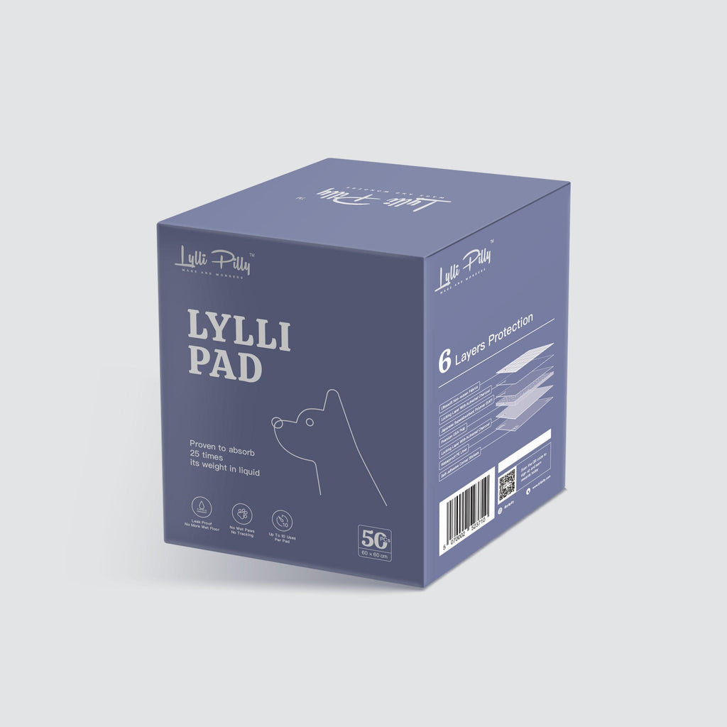 LYLLI PILLY Lylli Pad Charcoal Leak Proof Ultra Absorbent Premium Training Pads 60*60cm - Sparklet