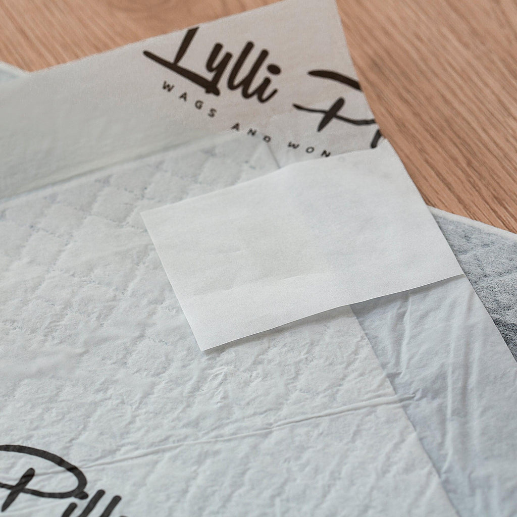 LYLLI PILLY Lylli Pad Charcoal Leak Proof Ultra Absorbent Premium Training Pads 60*60cm - Sparklet