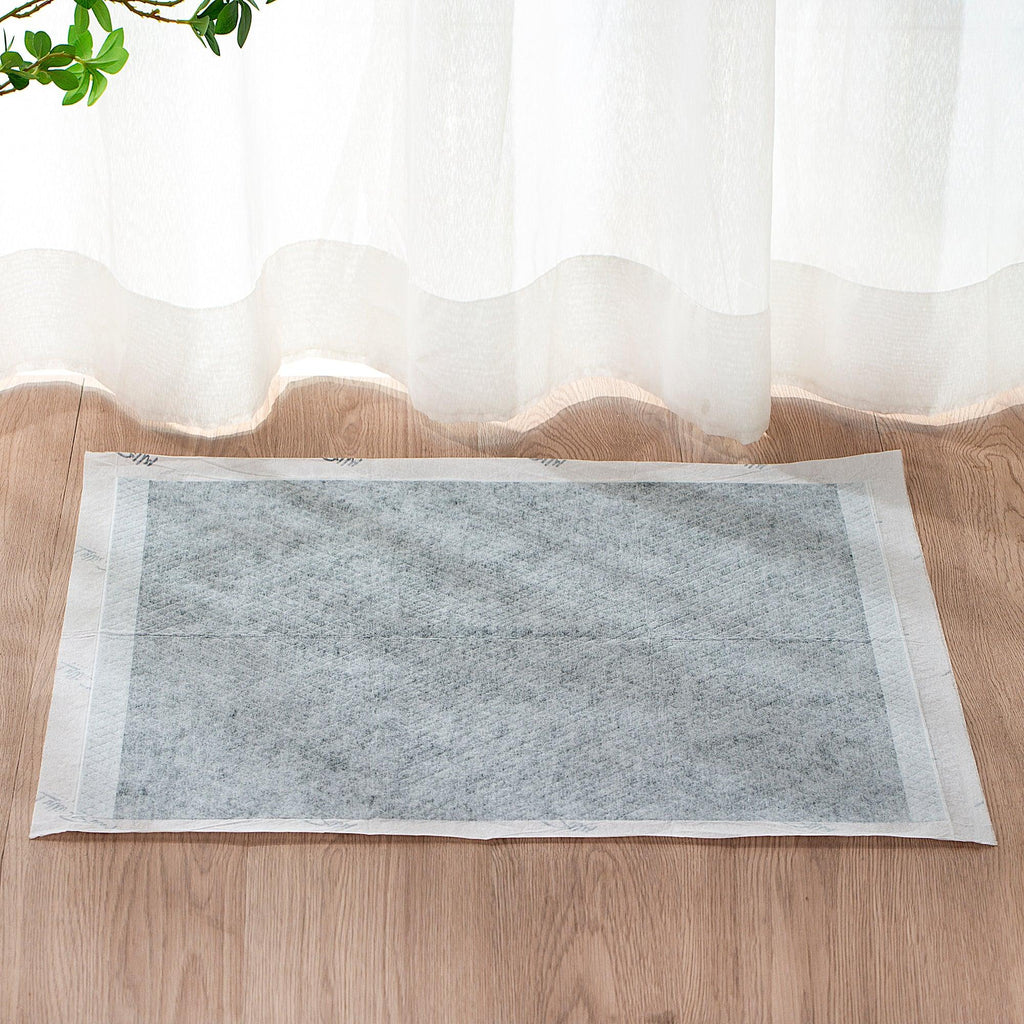 LYLLI PILLY Lylli Pad Charcoal Leak Proof Ultra Absorbent Premium Training Pads 60*60cm - Sparklet
