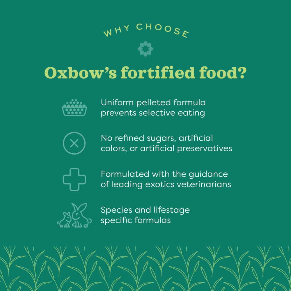 OXBOW Essentials Adult Guinea Pig Food - Sparklet