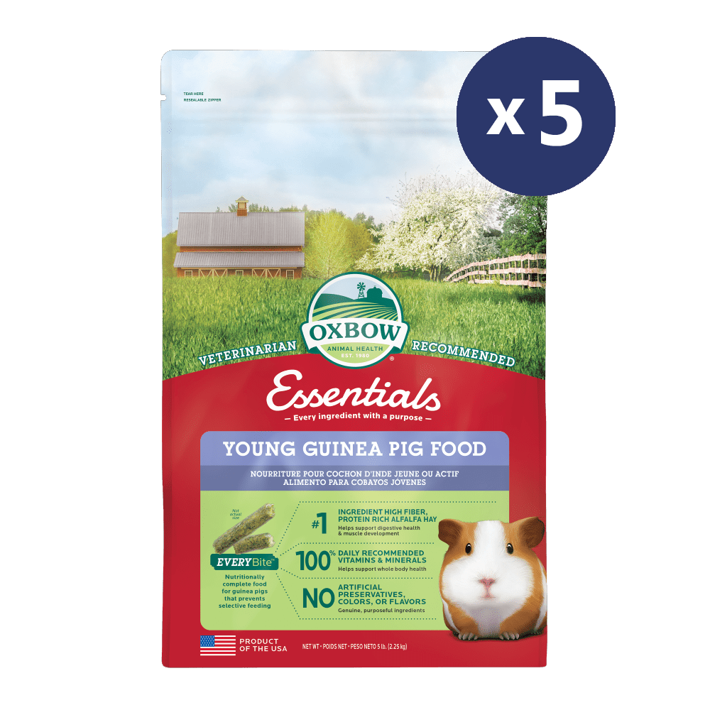 OXBOW Essentials Young Guinea Pig Food - Sparklet