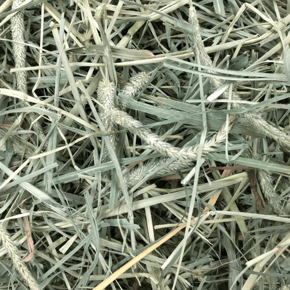 OXBOW Hay Blend Timothy & Orchard Grass Hay - Sparklet
