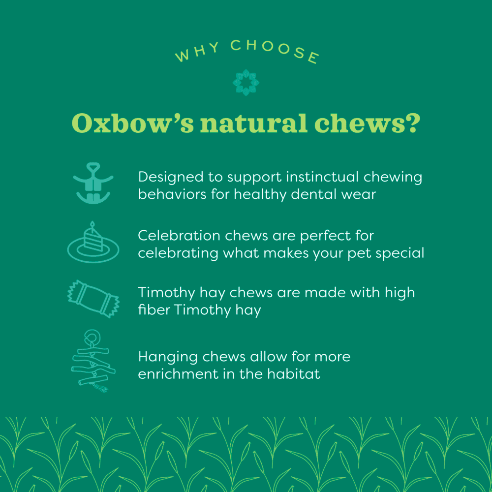 OXBOW Timothy Club Mat - Sparklet