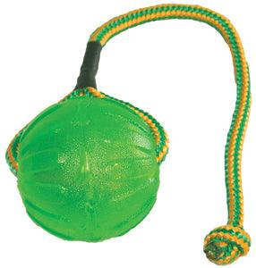STARMARK Swing & Fling Chew Ball Dog Toy - Medium Large - Sparklet