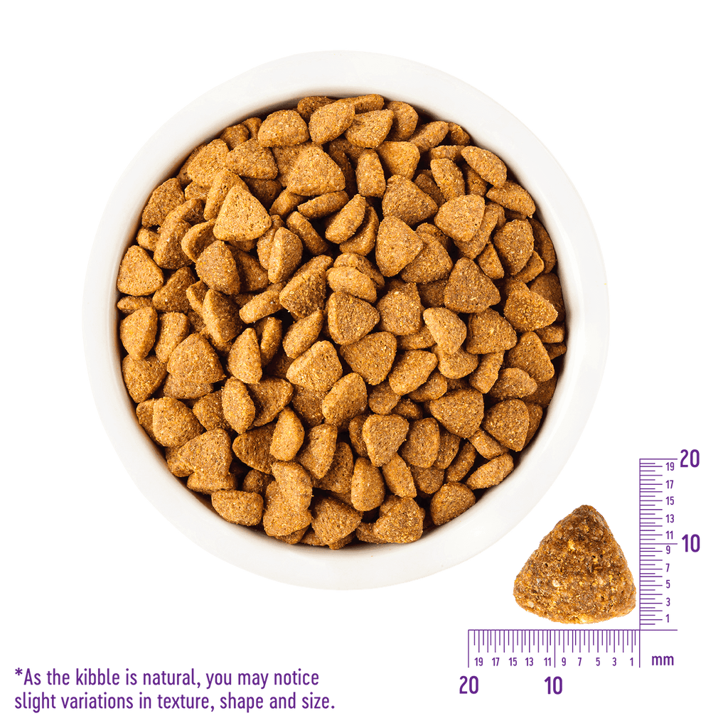WELLNESS CORE Grain Free Dry Dog Food For Large Breed Chicken Turkey Recipe 11.8KG - Sparklet