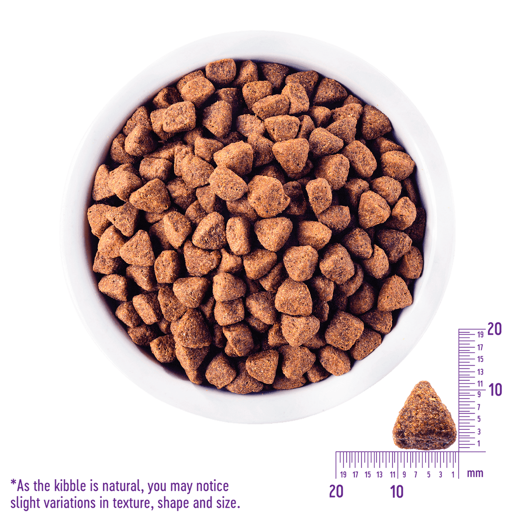 WELLNESS CORE Grain Free Dry Dog Food Original Turkey Chicken Recipe 11.8KG - Sparklet