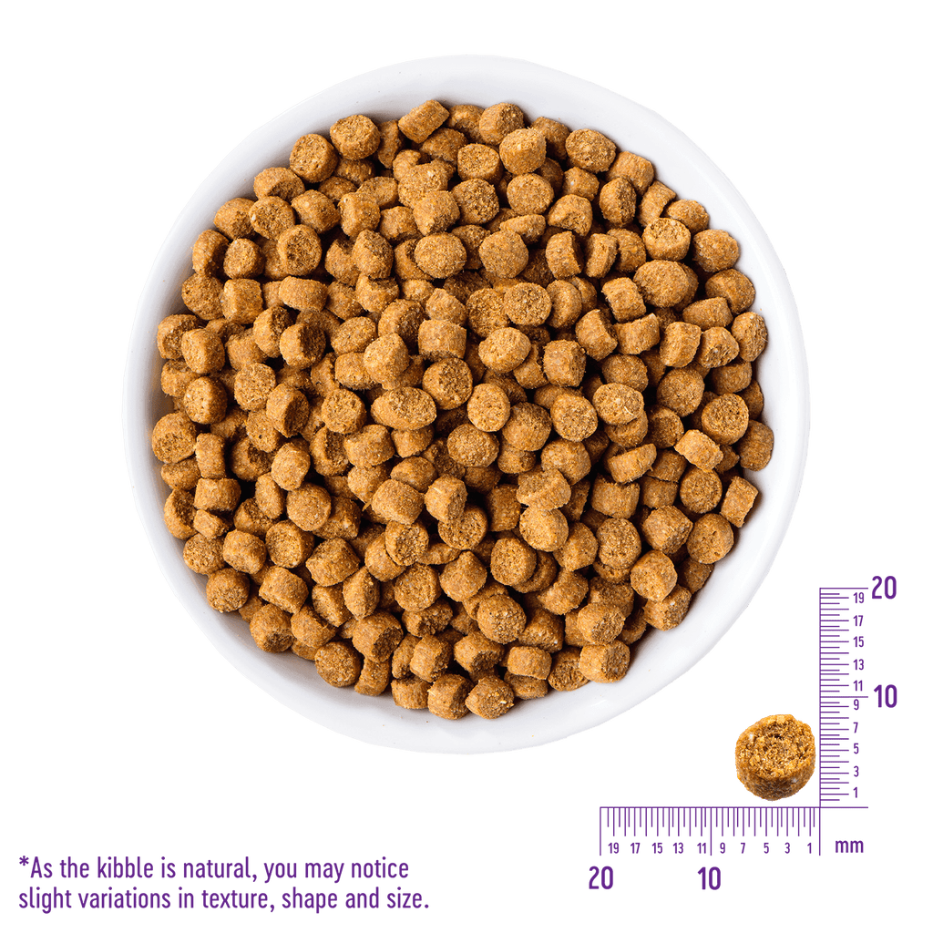 WELLNESS CORE Grain Free Dry Puppy Food Chicken Turkey Recipe 11.8KG - Sparklet