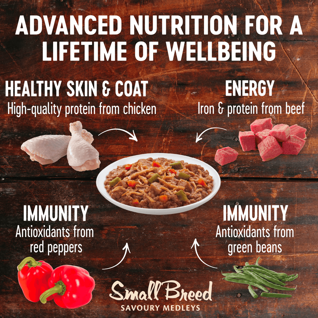 WELLNESS CORE Savoury Medleys Chicken, Beef, Green Beans & Red Peppers Wet Small Dog Food 85GX12 - Sparklet