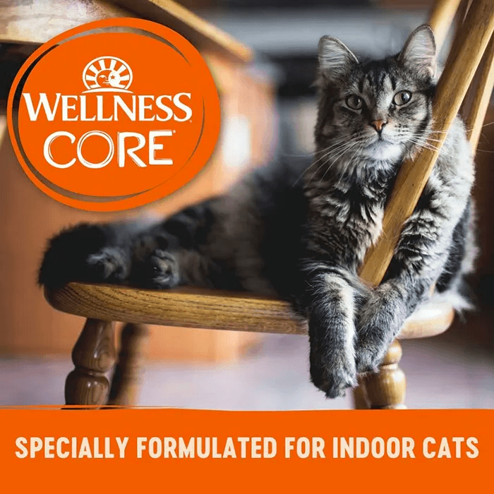 WELLNESS Core Signature Selects Wet Cat Food Chicken Pate 79GX12 - Sparklet