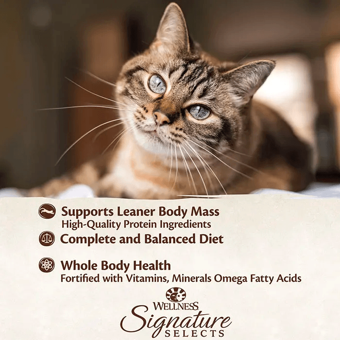 WELLNESS Core Signature Selects Wet Cat Food Chicken Pate 79GX12 - Sparklet