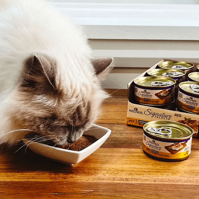 WELLNESS Core Signature Selects Wet Cat Food Chicken Pate 79GX12 - Sparklet