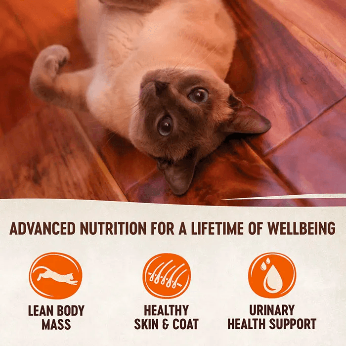 WELLNESS Core Signature Selects Wet Cat Food Tuna & Shrimp 79GX12 - Sparklet