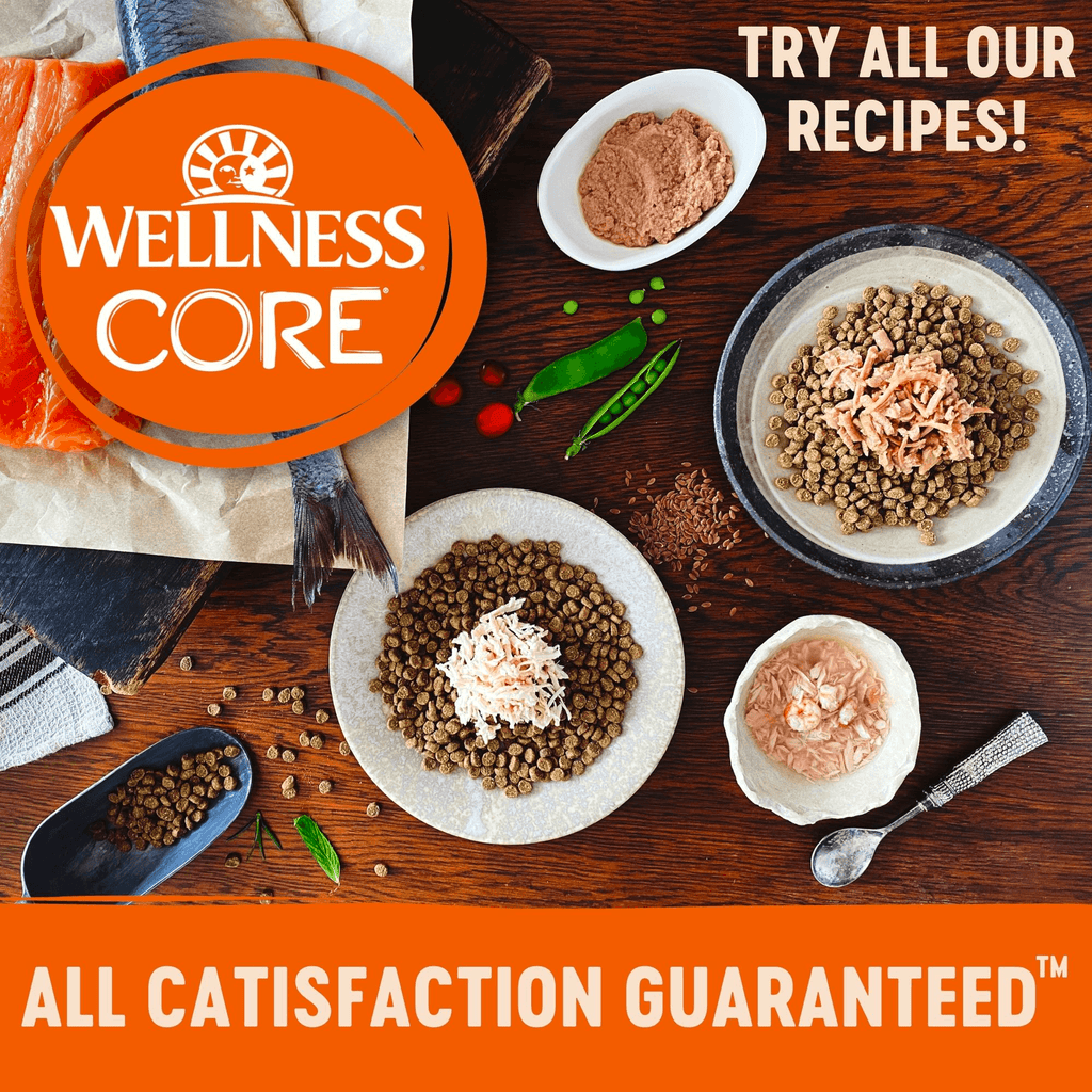 WELLNESS Core Tender Cuts Wet Cat Food Salmon & Tuna 85GX8 - Sparklet
