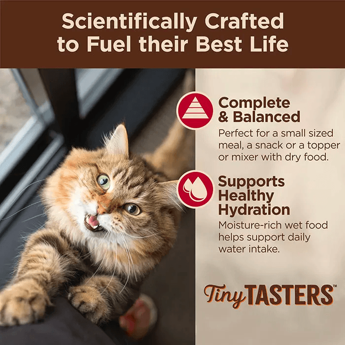 WELLNESS Core Tiny Tasters Wet Cat Food Chicken & Beef Pate 50GX12 - Sparklet