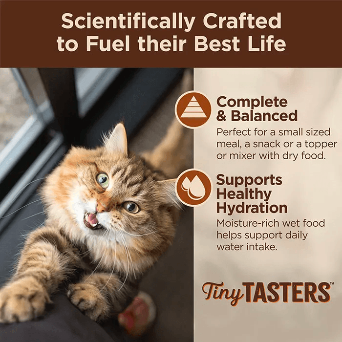 WELLNESS Core Tiny Tasters Wet Cat Food Chicken Pate 50GX12 - Sparklet
