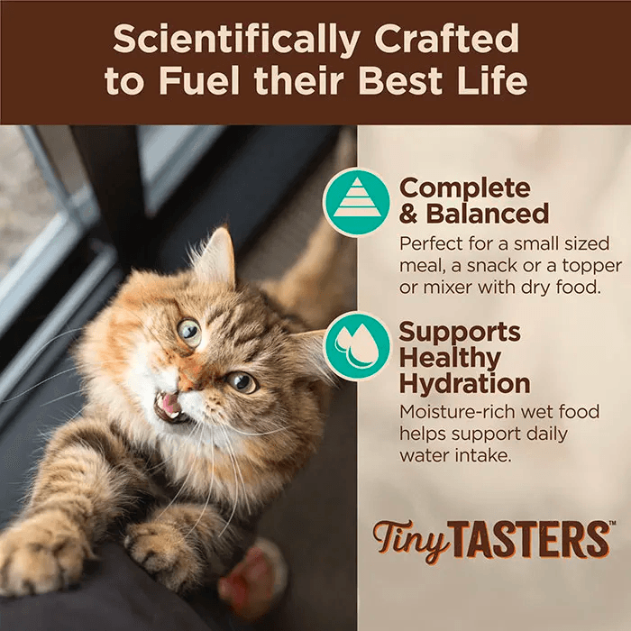 WELLNESS Core Tiny Tasters Wet Cat Food Sea Variety Pack 50GX12 - Sparklet
