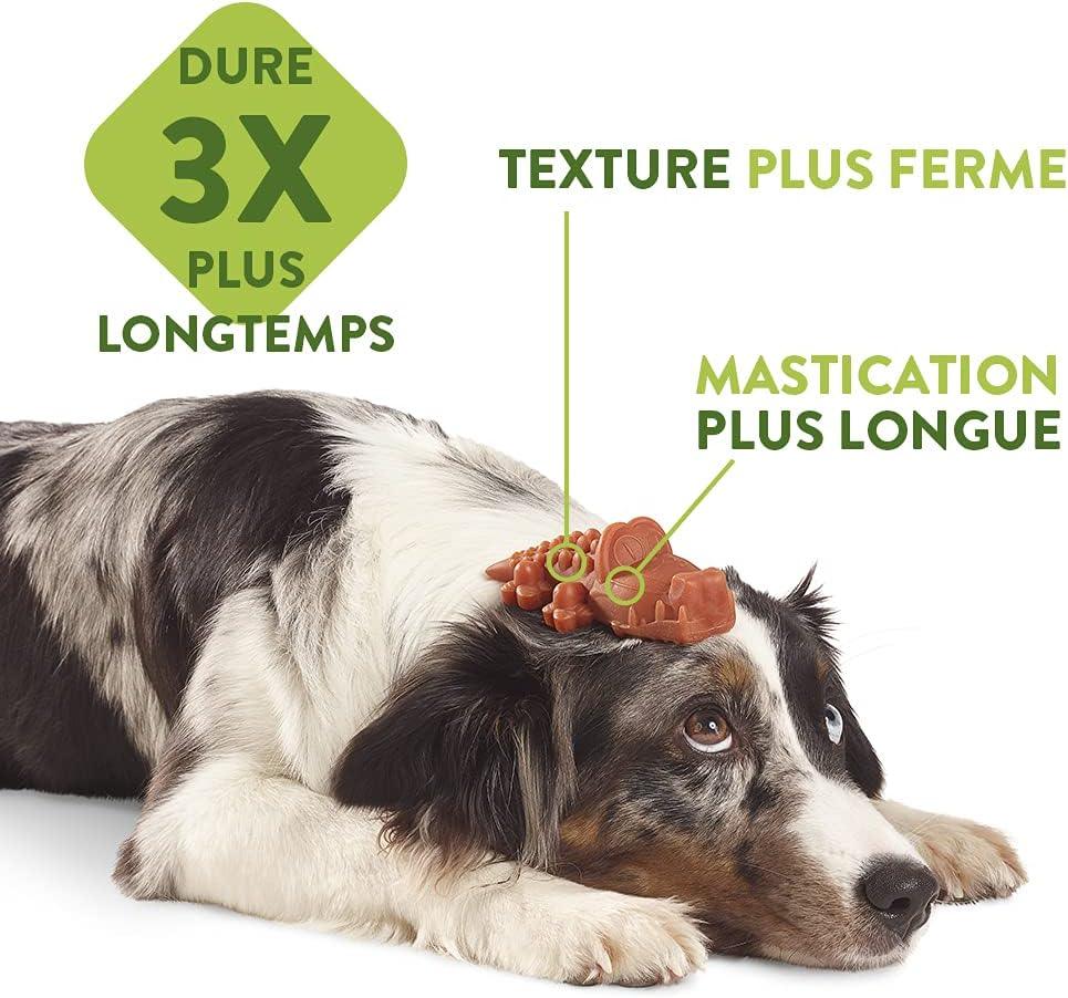 WHIMZEES Natural Daily Dental Chews For Adult Dog Large Breed Variety Box 14 Packs - Sparklet