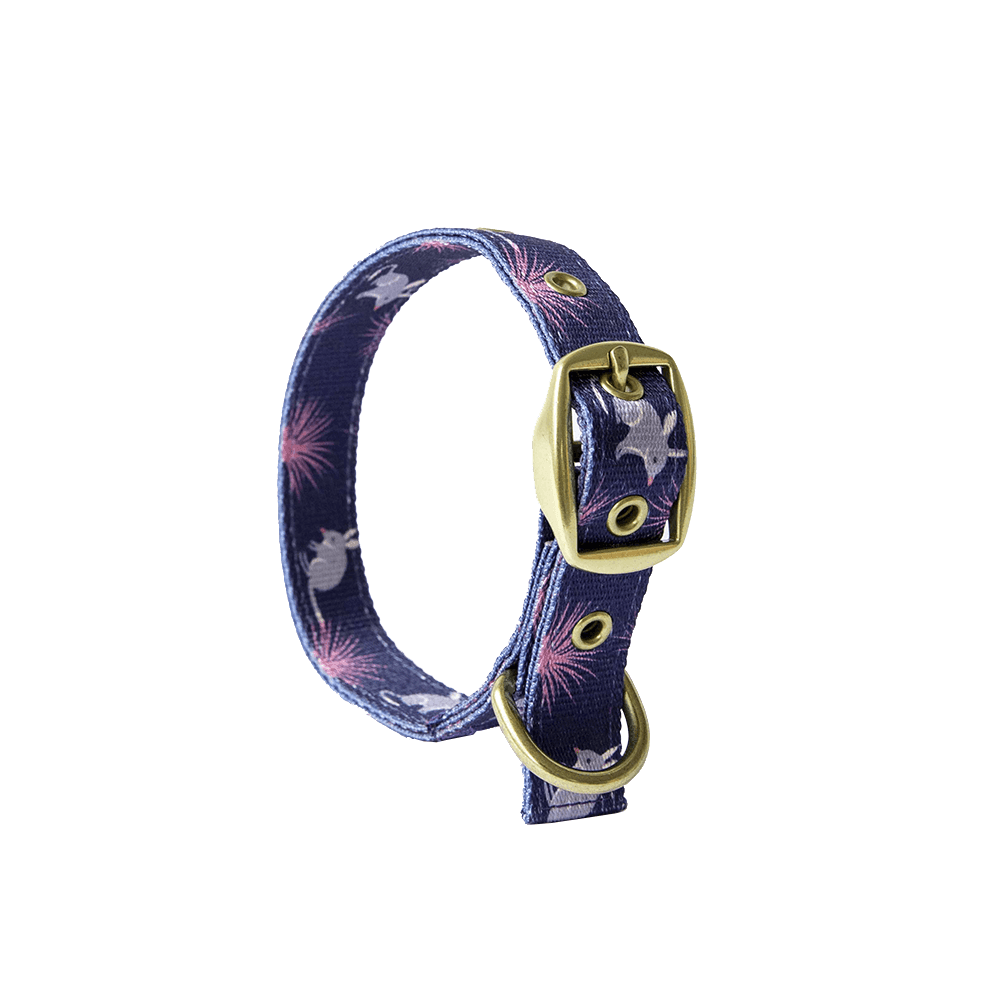 ANIPAL Billie the Bilby Collar (Made from recycled plastic) L - Sparklet