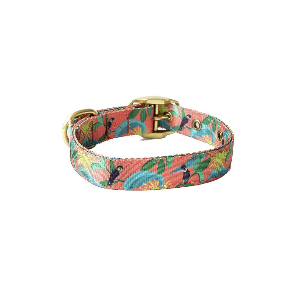 ANIPAL Clancy the Black Cockatoo Collar (Made from recycled plastic) L - Sparklet