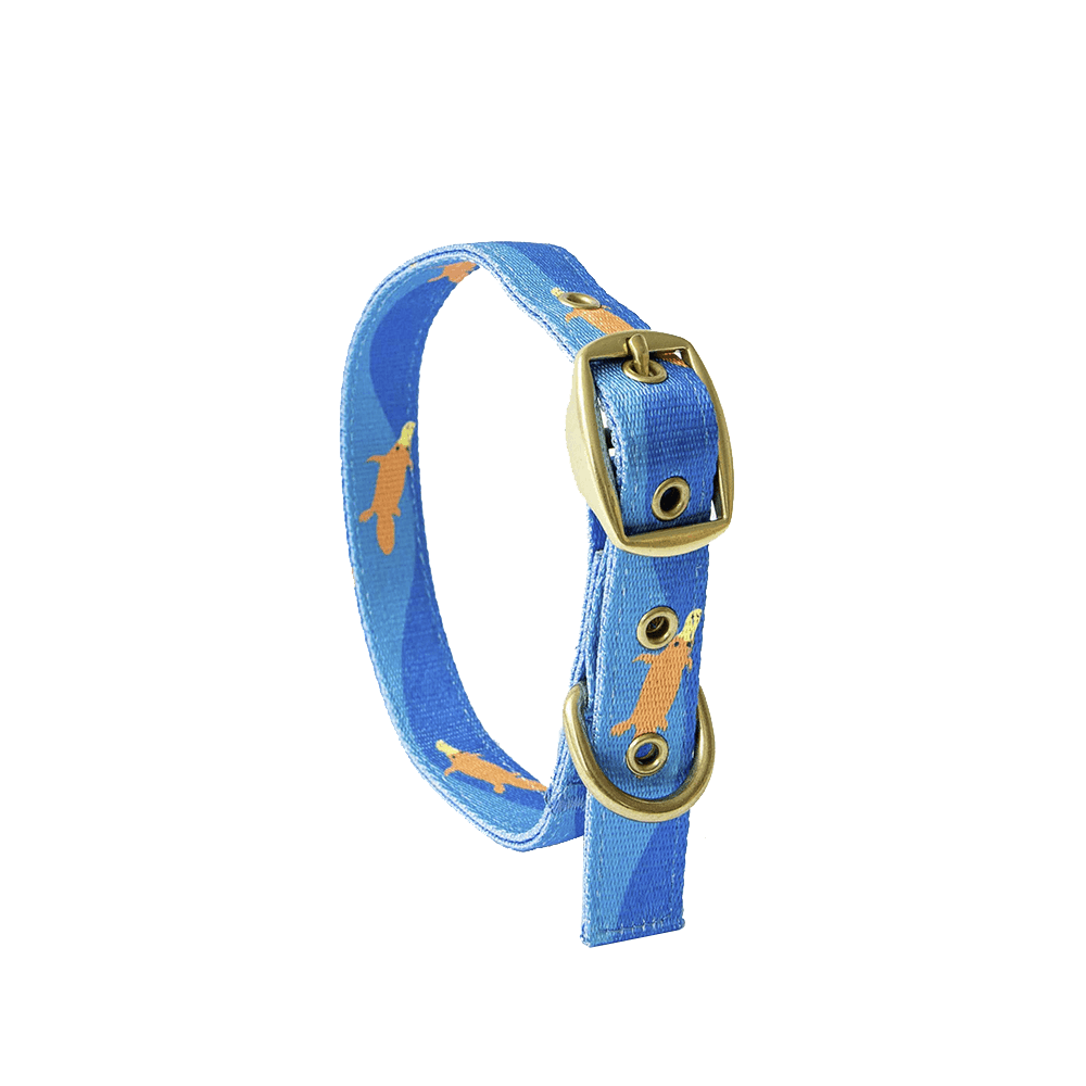 ANIPAL Piper The Platypus Collar (Made from recycled plastic) L - Sparklet