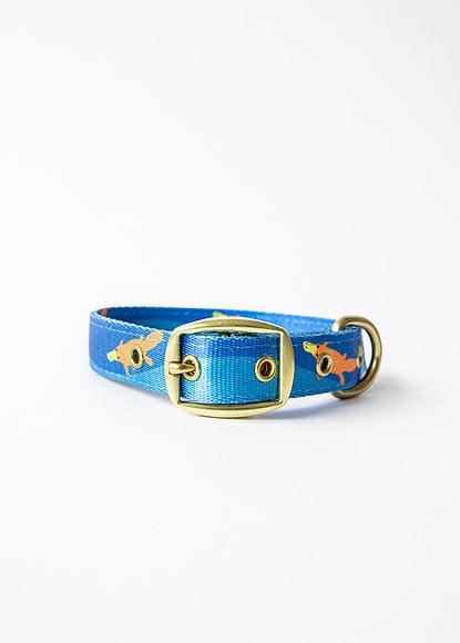 ANIPAL Piper The Platypus Collar (Made from recycled plastic) L - Sparklet