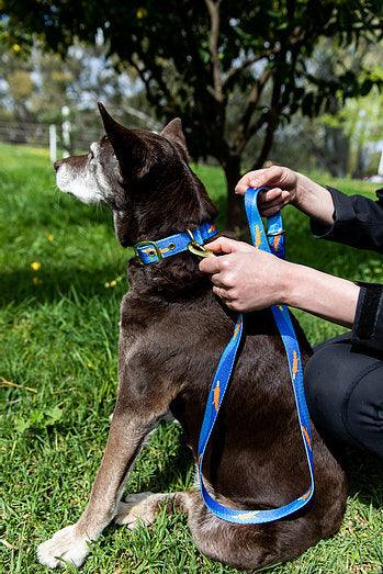 ANIPAL Piper The Platypus Leash (Made from recycled plastic) - Sparklet