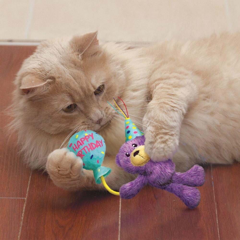 KONG Occasions Birthday Teddy Cat Toy - Sparklet