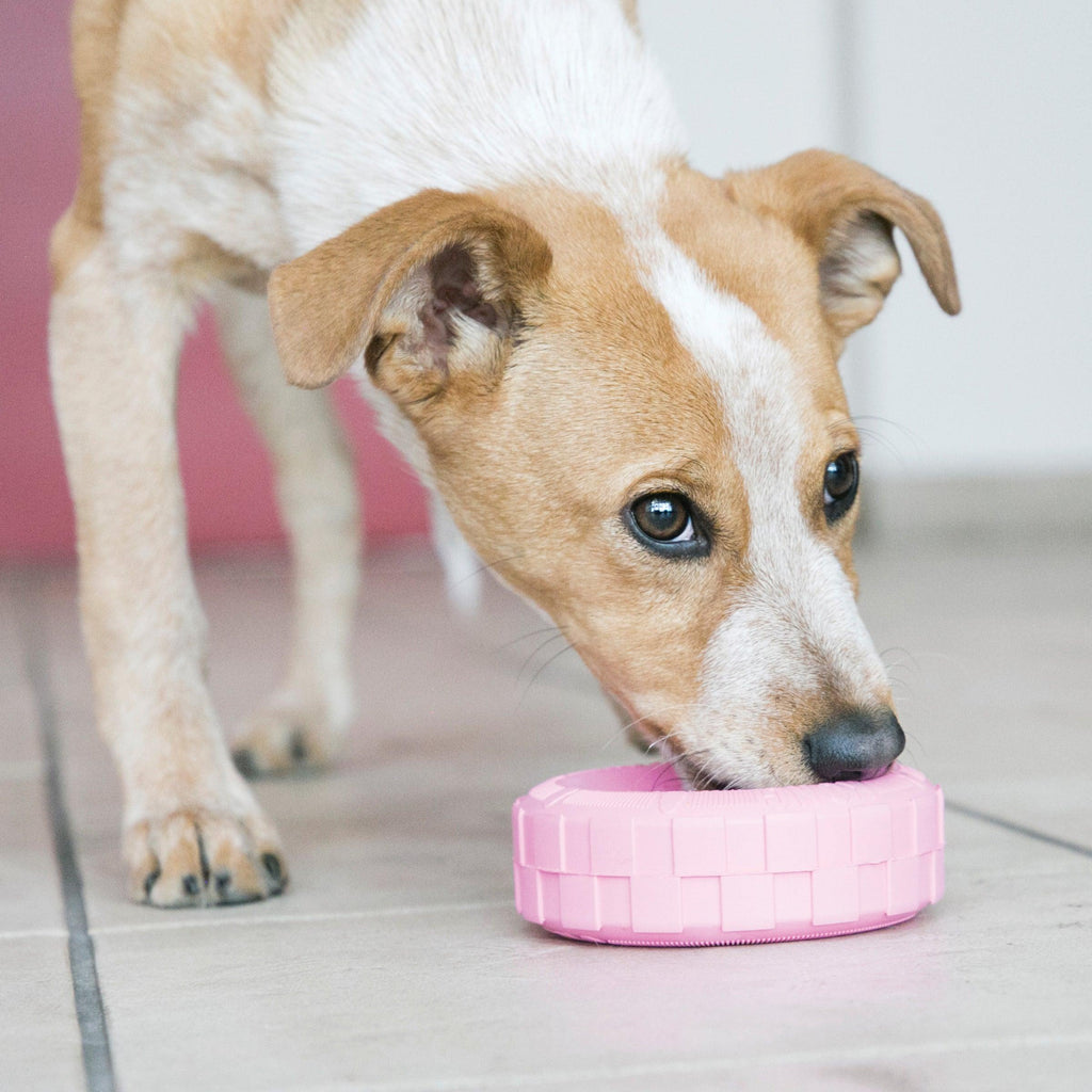 KONG Puppy Tires Durable Toy For Medium/Large Breeds (Blue/Pink Assorted Colours) - Sparklet