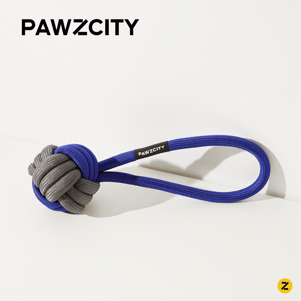 PAWZCITY Interactive Rope Ball With Loop - Blueberry - Sparklet