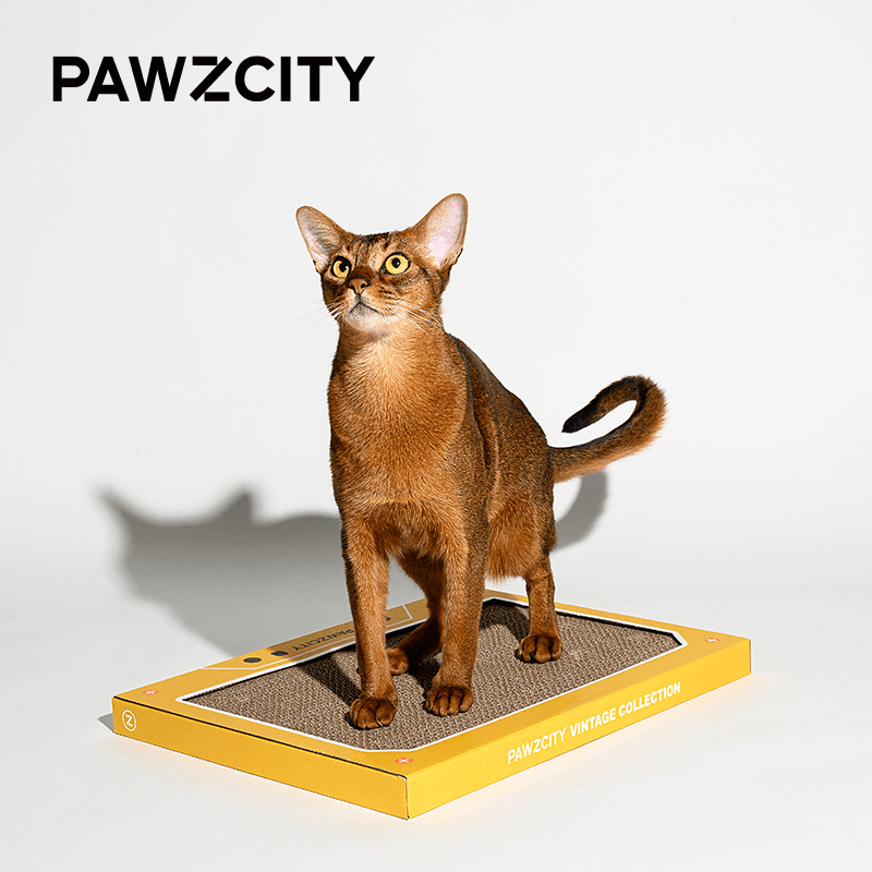 PAWZCITY Vintage Tape Cat Scratching Board - C - Sparklet