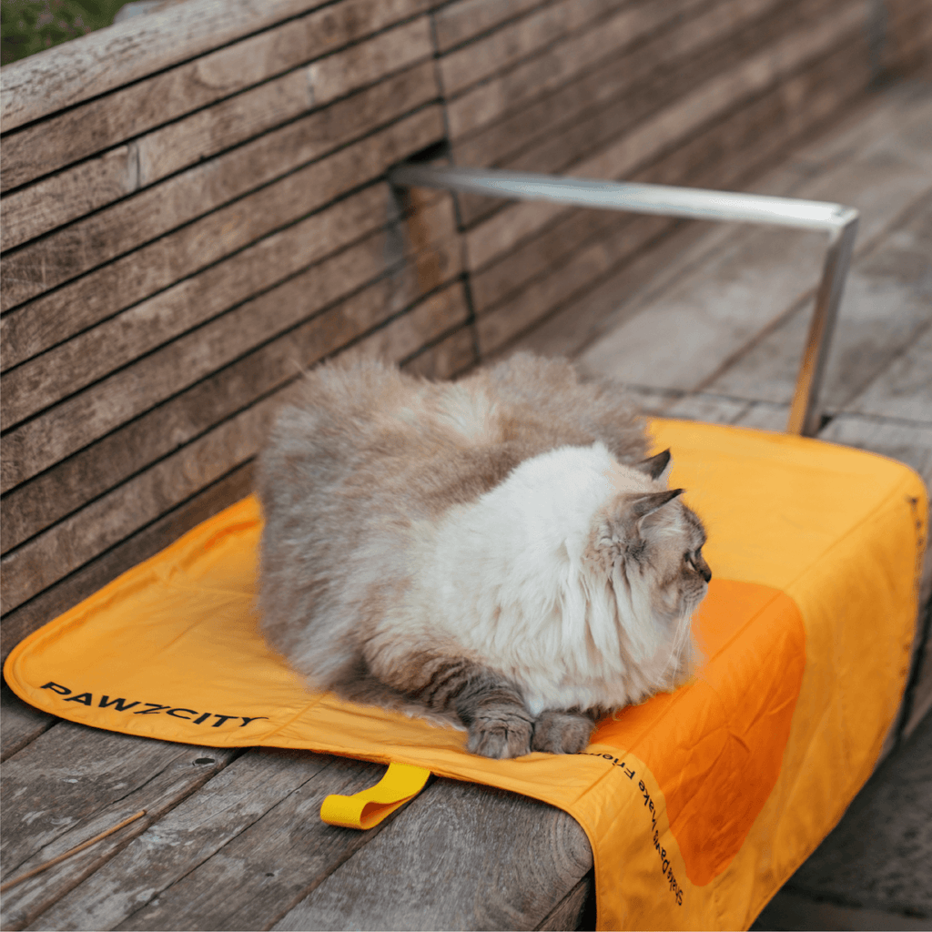PAWZCITY Waterproof Travel Mat - Avocado - Sparklet