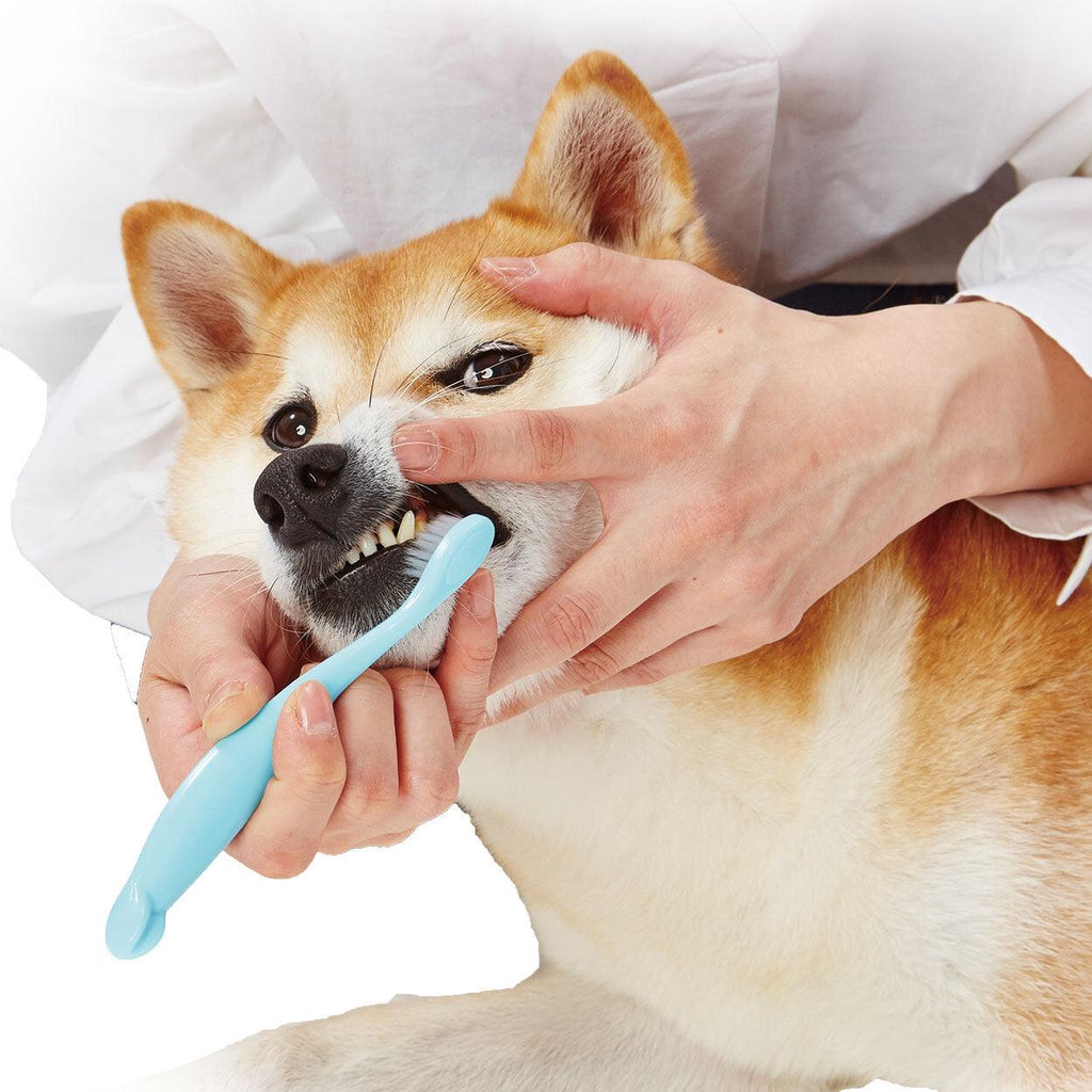 PETIO Soft Dental Toothbrush - Sparklet