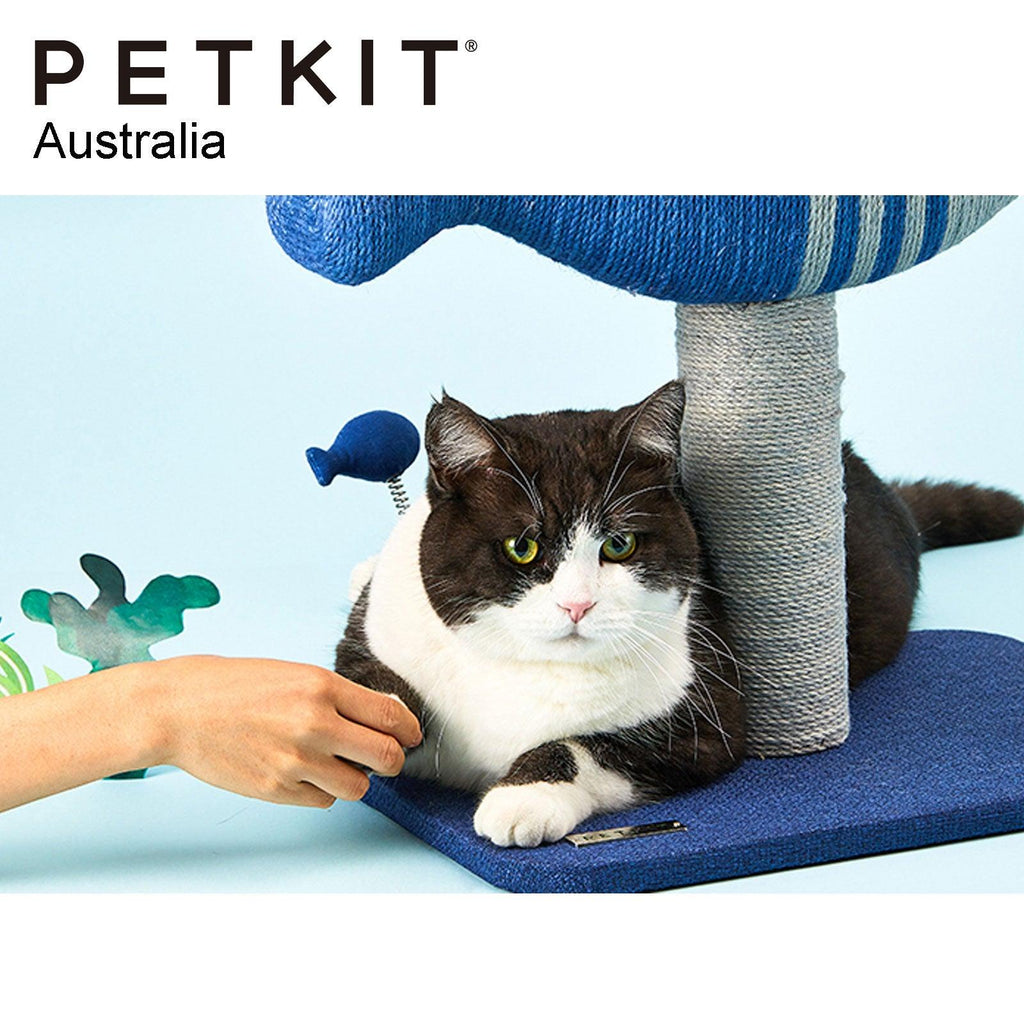 PETKIT Flying Fish 3in1 Scratcher - Sparklet