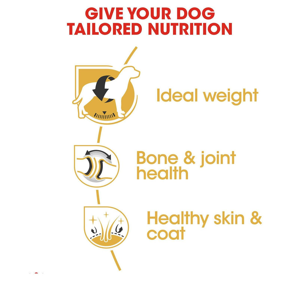 ROYAL CANIN Labrador Retriever Adult 12KG - Sparklet
